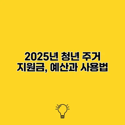 2025년 청년 주거 지원금, 예산과 사용법