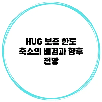 HUG 보증 한도 축소의 배경과 향후 전망