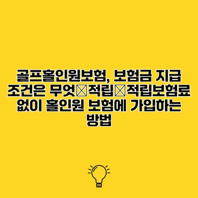 골프홀인원보험, 보험금 지급 조건은 무엇�적립�적립보험료 없이 홀인원 보험에 가입하는 방법