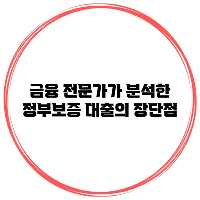 금융 전문가가 분석한 정부보증 대출의 장단점