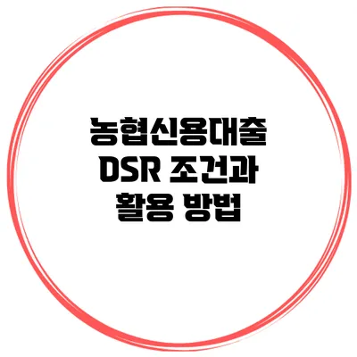 농협신용대출 DSR 조건과 활용 방법