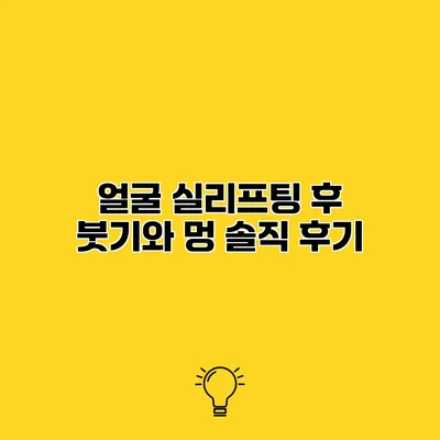 얼굴 실리프팅 후 붓기와 멍 솔직 후기