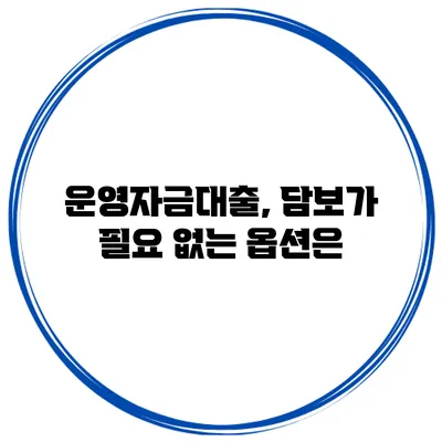 운영자금대출, 담보가 필요 없는 옵션은?