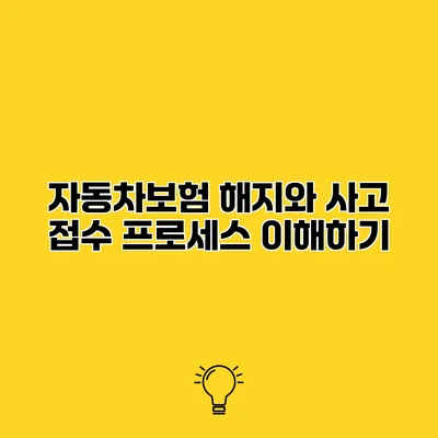 자동차보험 해지와 사고 접수 프로세스 이해하기