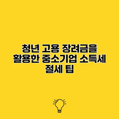 청년 고용 장려금을 활용한 중소기업 소득세 절세 팁