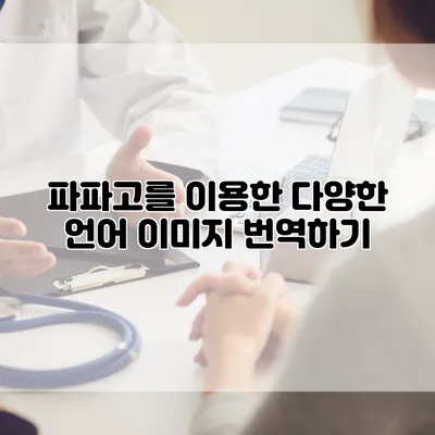 파파고를 이용한 다양한 언어 이미지 번역하기